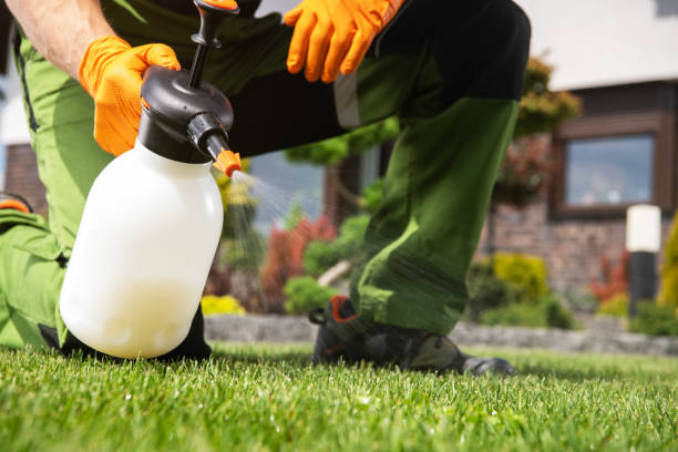 Best Pest Inspection Near Me  in Utica, MI