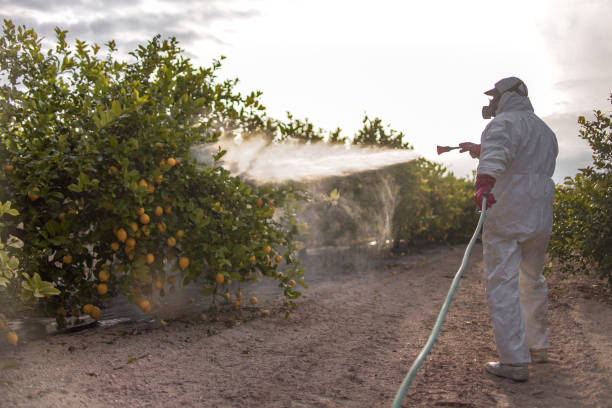 Best Cockroach Control Services  in Utica, MI