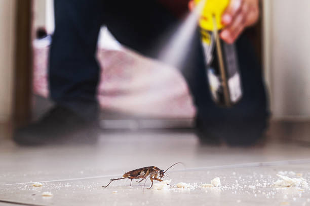 Trusted Utica, MI Pest Control Experts