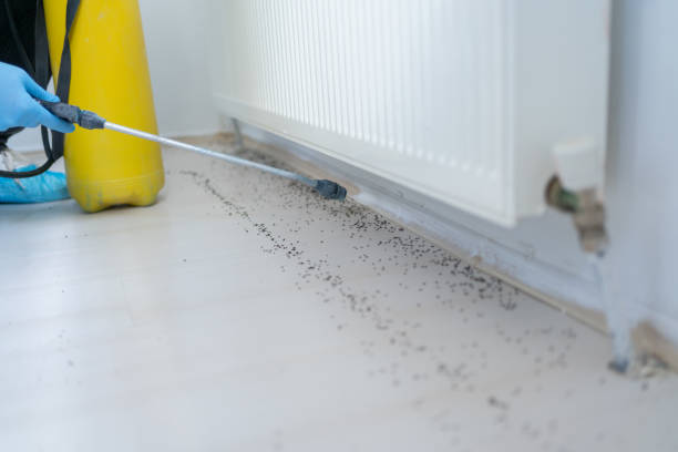 Best Commercial Pest Control Services  in Utica, MI