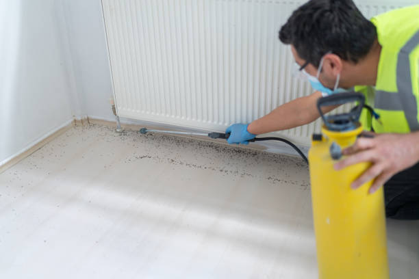 Best Pest Removal Services  in Utica, MI